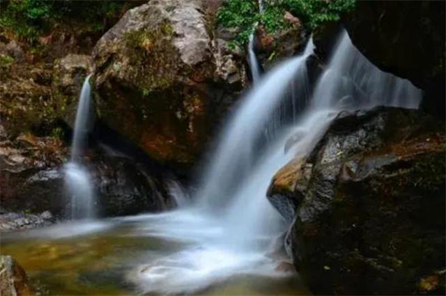 交银国际：降金斯瑞生物目标价至27.6港元 评级维持“买入”
